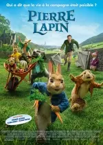 Pierre Lapin